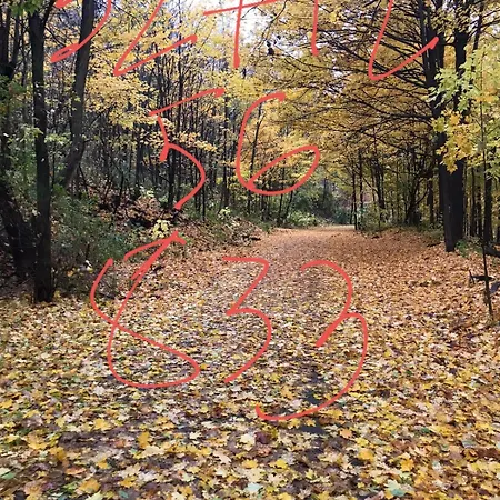 Clementina Alojamento de Acomodação e Pequeno-almoço Brittoli